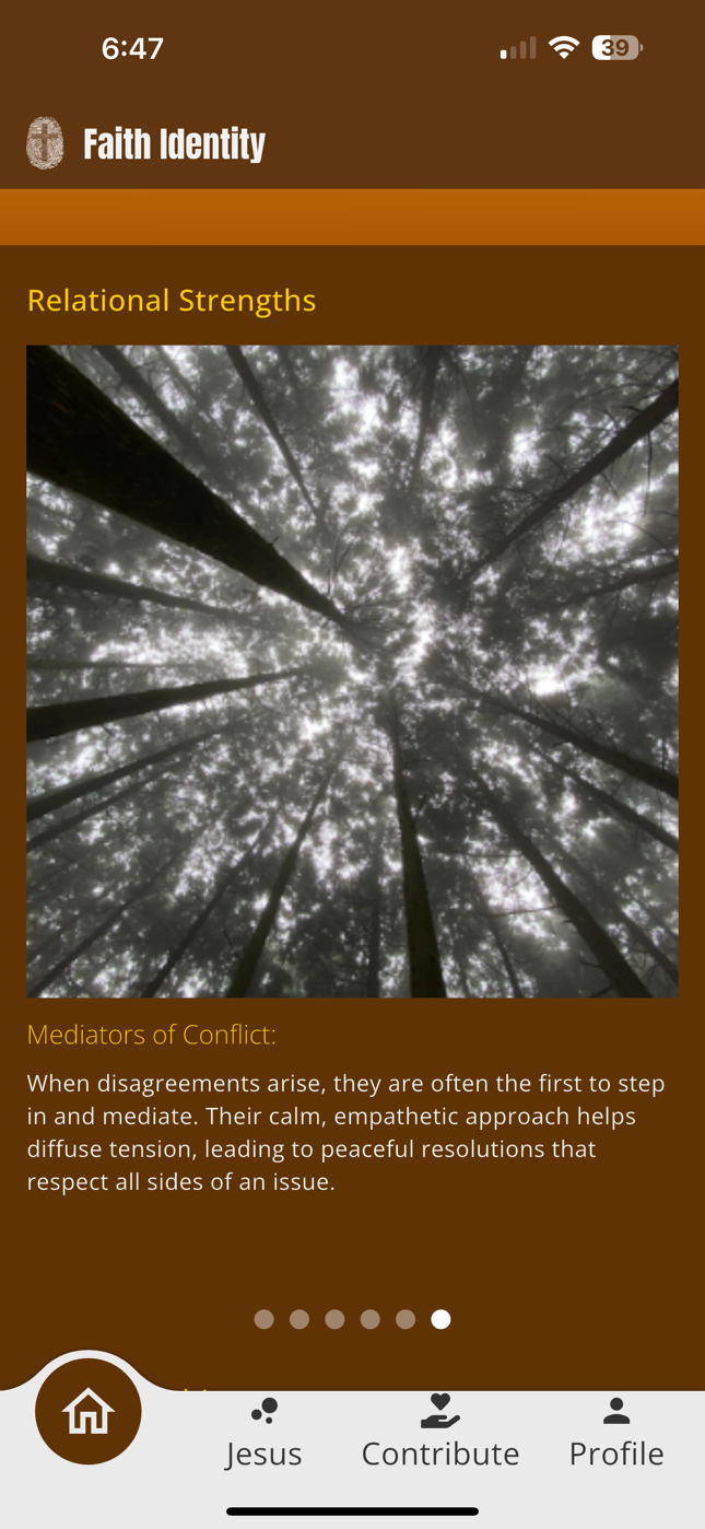 Relational Strengths - Adaptive - Mediator