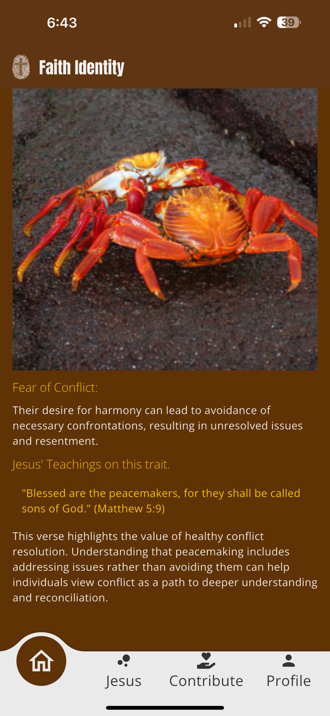 Vulnerabilities - Adaptive - Conflict