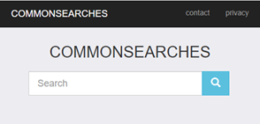 commonsearches.net logo